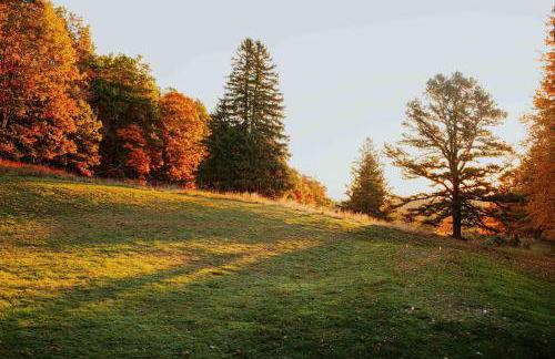 Rustic Ridge Log Cabin: Hot Tub, Games, Views! - Foto 36