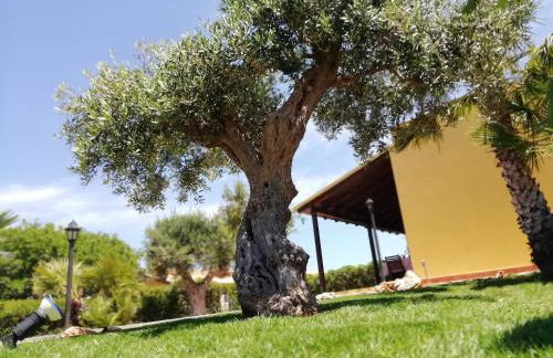 Il Corallo - Foto 35