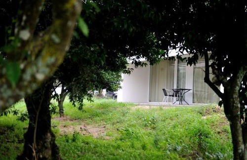 Cabeças do Reguengo - Foto 127