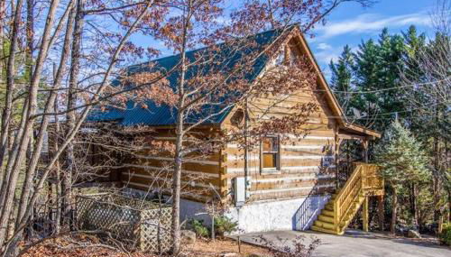 #152 Moonshadow - Foto 3