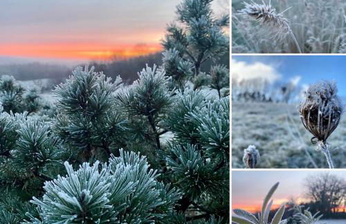 Domaine de Cazal - Gîte 4 pers avec piscine au cœur de 26 hectares de nature préservée - Foto 38