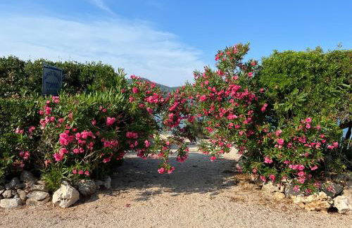 Apartmani Tonko - Foto 7