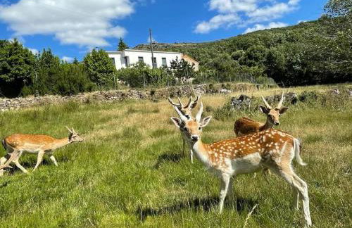 Quinta do Borges 2 - Foto 11