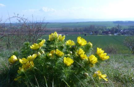 Maisonette im Fachwerkhaus - Foto 35