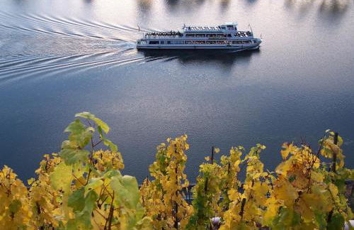 Weingut im Moselkrampen - Foto 7