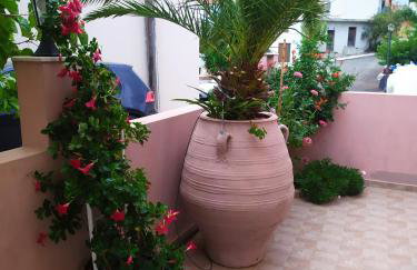 Creta guesthouse ARXONTIKO! - Foto 24