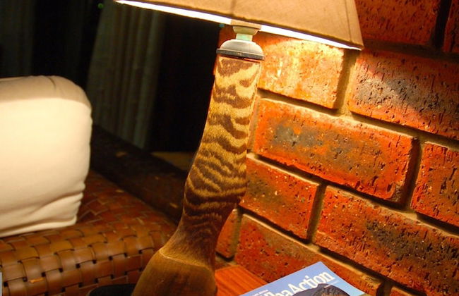 Beachfront Villa Africa Queen Jeffreys - Photo 12