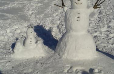 Nordique Symbiose - Foto 68