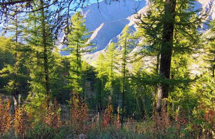 Studio tout équipé, piscine chauffée, départ skis aux pieds - Photo 8