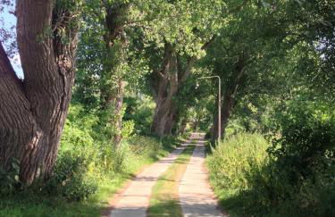 Peeneurlaub - Foto 54