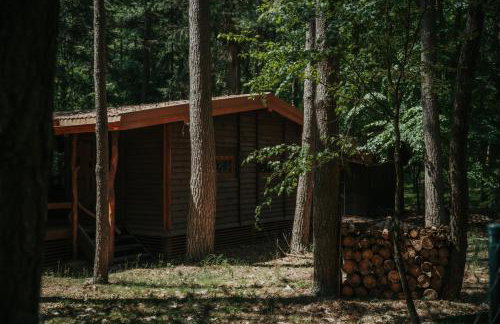 Forest Cabin - 50min od Warszawy - Foto 16