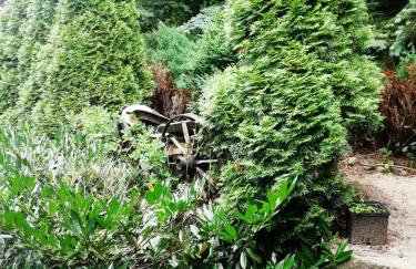 BAJA Gospodarstwo Agroturystyczne - Foto 13