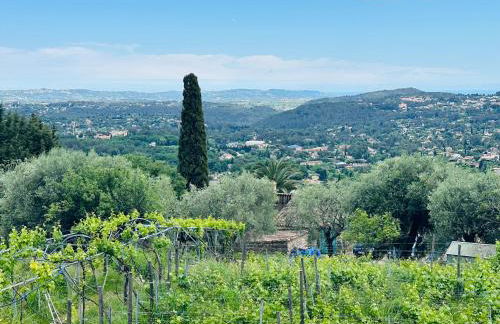 Bellevue Spéra - Foto 1