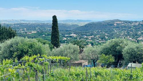 Bellevue Spéra - Foto 1