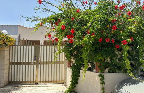 Monsant Casa Vacanze - Foto 1