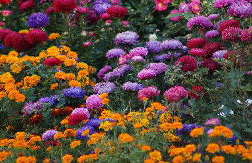 Gästehaus Minkel - Foto 9