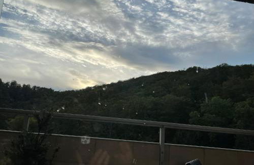 Apartment Beletage Bad Harzburg - Foto 31