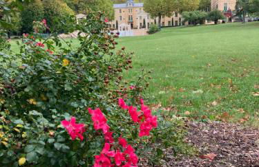 Chateau appartement tussen Mont Ventoux en Luberon - Foto 20