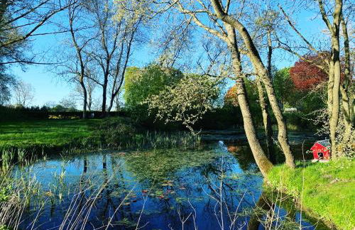 Gutshof Rothensande - Foto 20