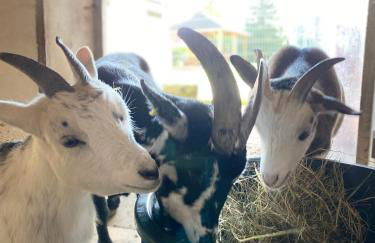 Münsterblick - Foto 23