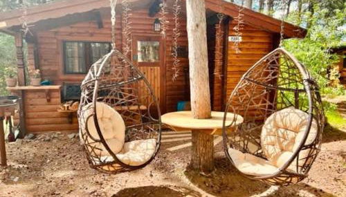 The Timberjack - Foto 2