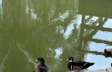 Sítio Pedra Luminosa - Foto 37