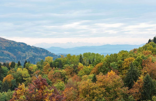 Apartment in Kleines Wiesental - Foto 25