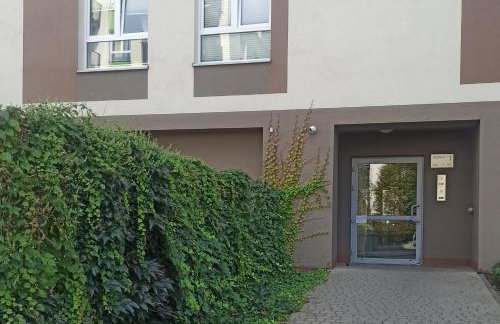 ZŁOTA KOBIETA - Foto 28