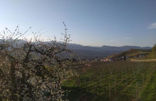 Weingut Lahn zu Eppan - Foto 23