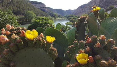 Casa Rural Rio Jucar - Foto 5