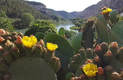 Casa Rural Rio Jucar - Foto 5