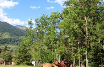 Chalet Presanella - Foto 61