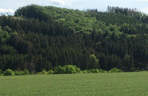 Appartement Am Skihang Altastenberg 1 km zum Skikarusell Winterberg - Photo 39