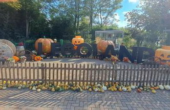 Ferienwohnung dolce casa - Photo 17