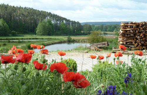 Ferienwohnungen am Büchlhof im Oberpfälzer Seenland - Foto 20