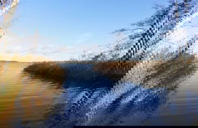 Holiday Home Landlust - Photo 14