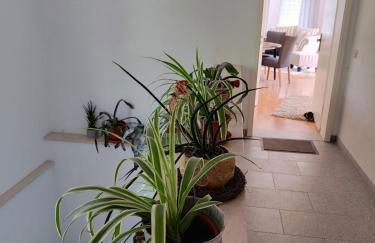 Ferienwohnung zur alten Post - Photo 23