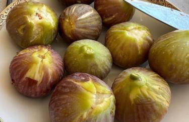 NEPTUNE OASIS Villa - Foto 8