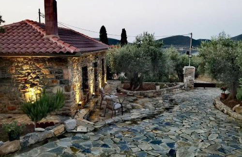 Elaion Thea2-Nies - Foto 1