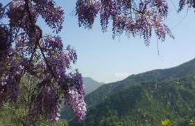 Rifugio Valentina - Foto 11