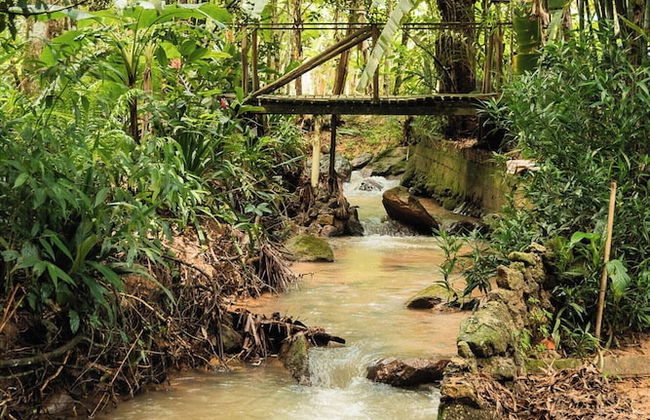 Sitio Cantinho Vovó Cida e Vovô Nilson - Foto 44