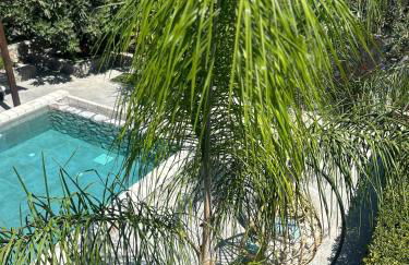 Aithonas Villa - Foto 50