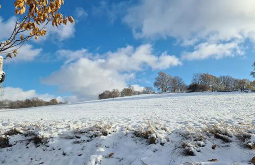 Gästehaus zum Rosengarten - Photo 79