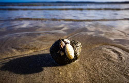 Ferienwohnung Glücks-Burg "Sonne" - Foto 18