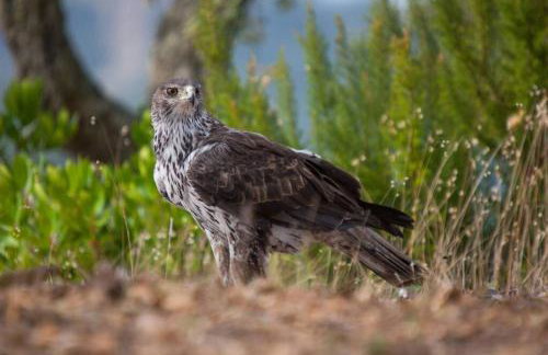 Refúgio do Douro Guest House - Foto 33