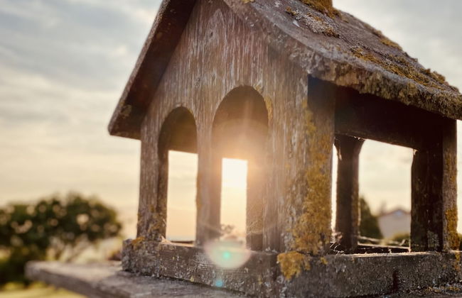 L'intemporel - Photo 45