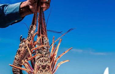 Sua casinha de kitesurf em Icapui e Tibau - Foto 55