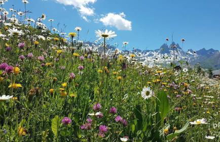 Appartement Nez-à-nez à Albiez - Photo 22