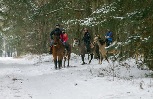 Kolorowe Wzgórze agroturystyka i konie - Foto 22