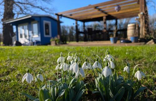 Lavender Cottage - Foto 29